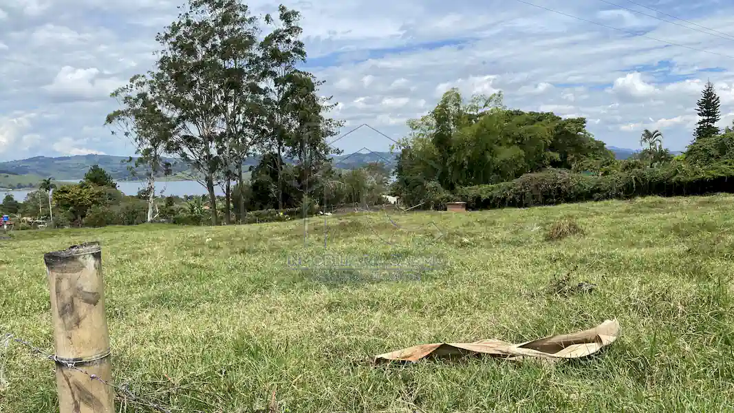 Lotes Iguazú